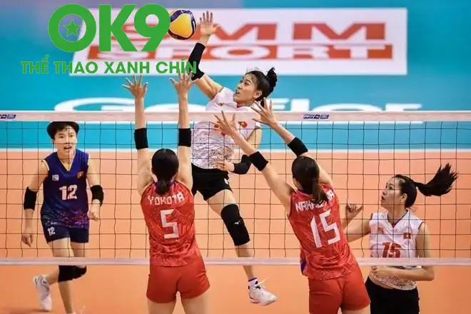 Bóng chuyền nữ Việt Nam thắng áp đảo U21 Bauru (Ảnh: VFV)